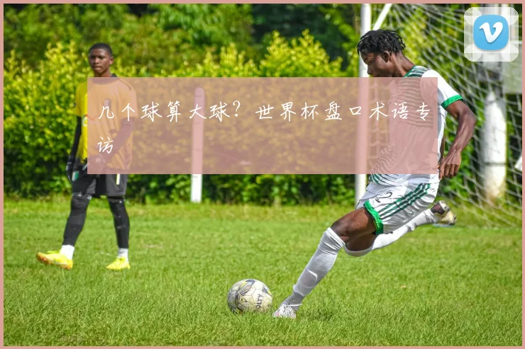 几个球算大球？世界杯盘口术语专访