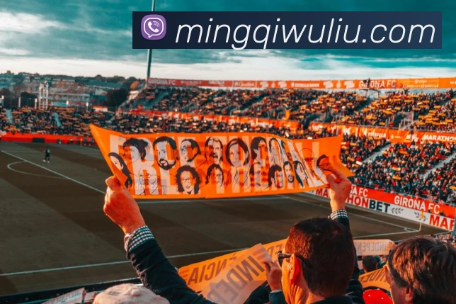 世界杯官方入口平台生态图