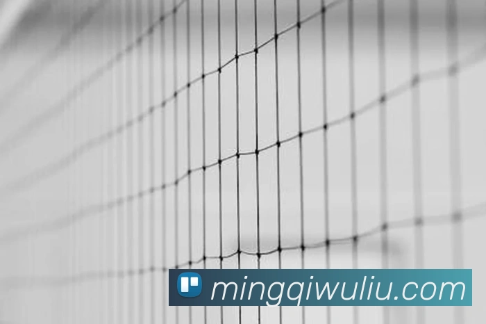 世界杯官方入口全站App